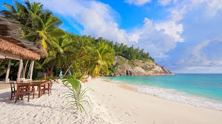 The Most Relaxing Ocean Video Ever! North Island, Seychelles 2025