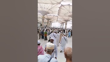 القارئ رعد الكردي دعاء القنوت #اكسبلور