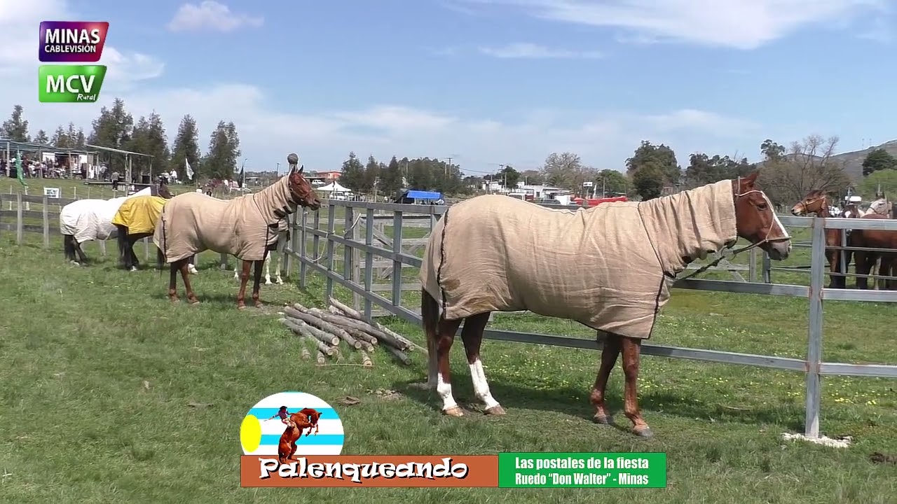 programa 20 de setiembre 2025