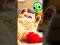 Baby Alien Reacts to Cute Cat Video