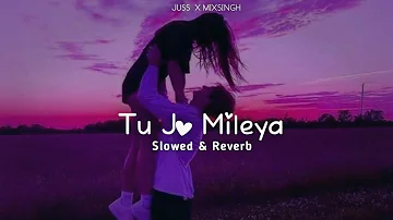 Tu Jo Mileya (Slowed + Reverb) : Juss X Mixsingh | New Punjabi Song 2024 | Jot Music