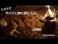 猫たちと焚き火囲んで1時間。Relaxing campfire with cats.