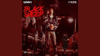 BLACK SHEEP LP2枚セット 2_PIECE_SET_b844b8c3-7471-48d0