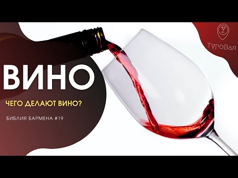 Видео: Что такое вино амфора? Учебник по одному из древнейших способов изготовления вина