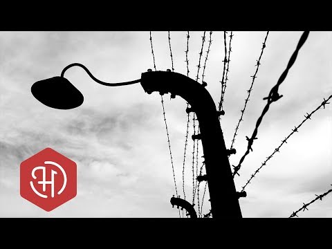 Video: Waarom Die Nazi's Jode Gehaat Het