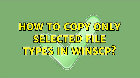 How to copy only selected file types in WinSCP? (2 Solutions!!)