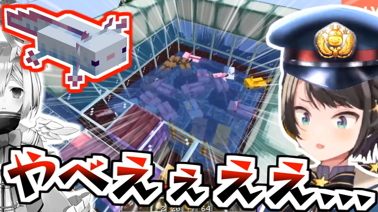 かなたのウーパー養殖場をガサ入れしドン引きするスバル【大空スバル/ホロライブ切り抜き】