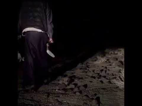 ياكم بسوق العز بعنا وشرينا 