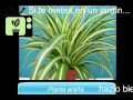 [Consejos de Jardineria] Consejo 5 | Jardinería en Casa