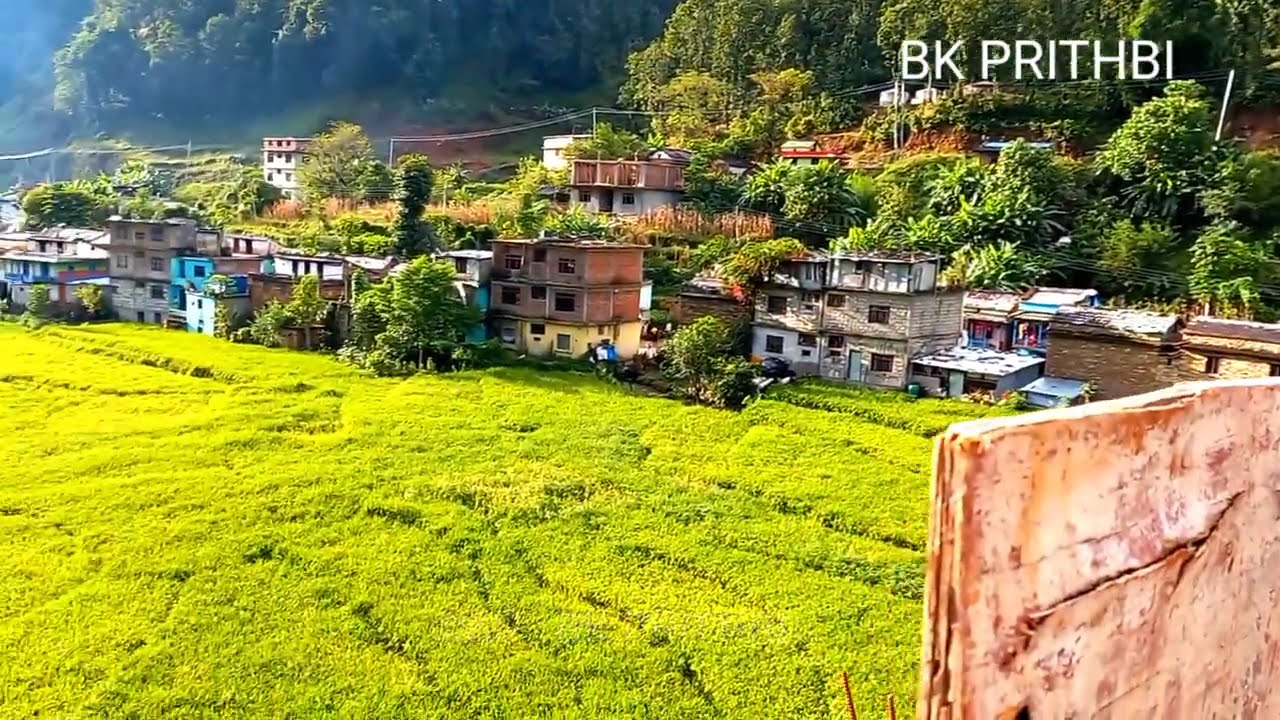 Bhagwatimai gaupalika Dailekh | bhagawatimaigaupalika | भगवतीमाई गाउँपालिका दैलेख 