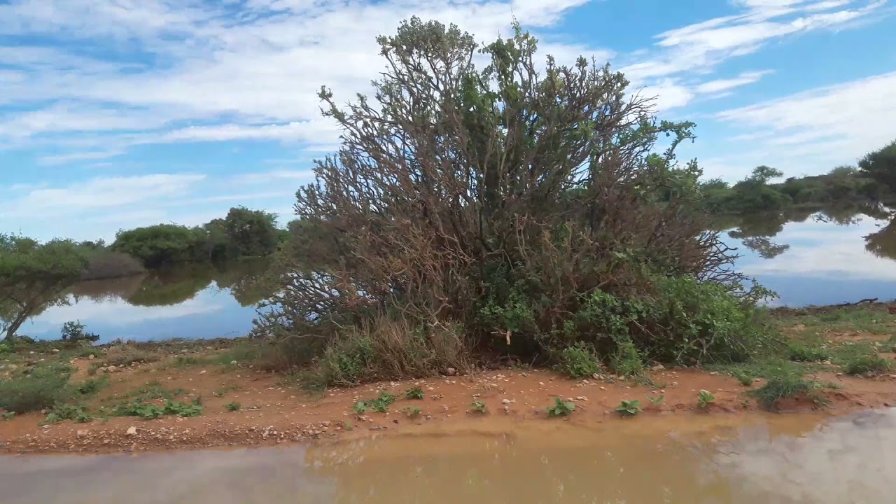 In Gelinsoor Galgaduud Somalia