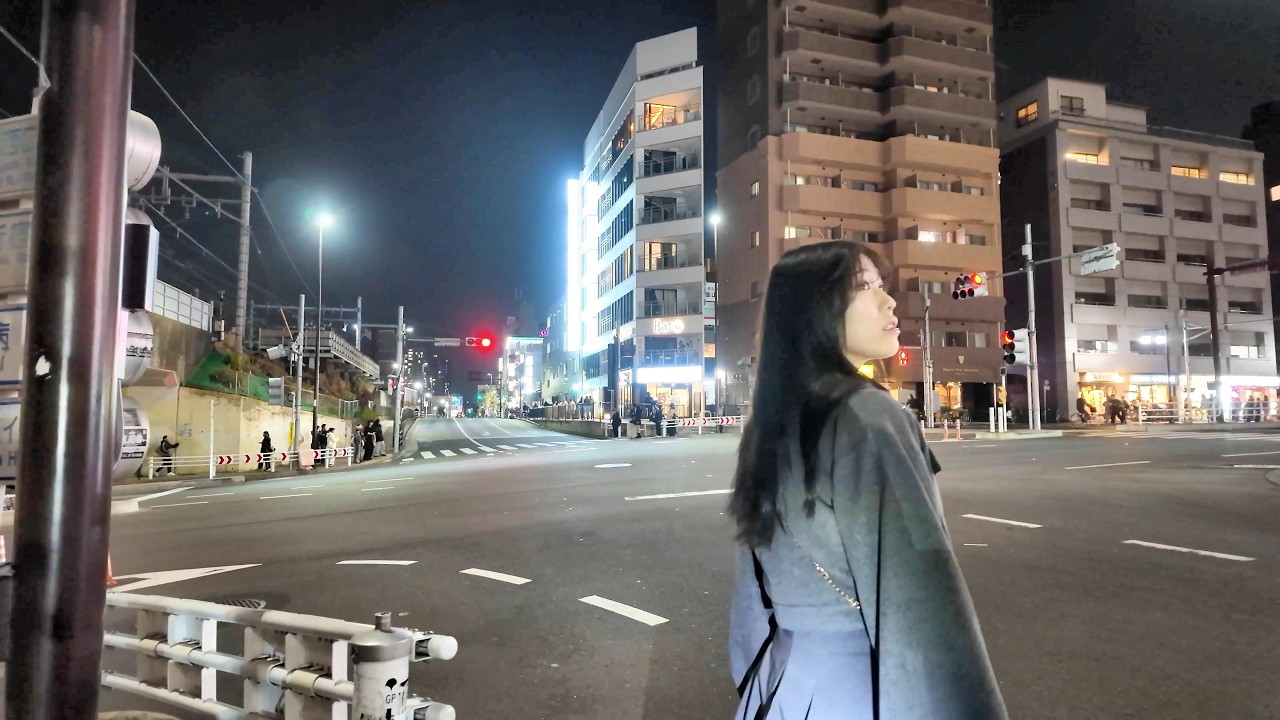 東京Eバイク車載4Kジンバル高音質■新宿歌舞伎町→新大久保→高田馬場■Z-AXISスタビライザーPOCKET3バイノーラル録音3Dサウンド立体ステレオ大都会旅行観光Vlog散歩E-Bike電動自転車