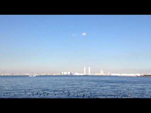 [everysing] 海の声
