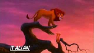 Lion King 2 - We Are One Multi-Language
