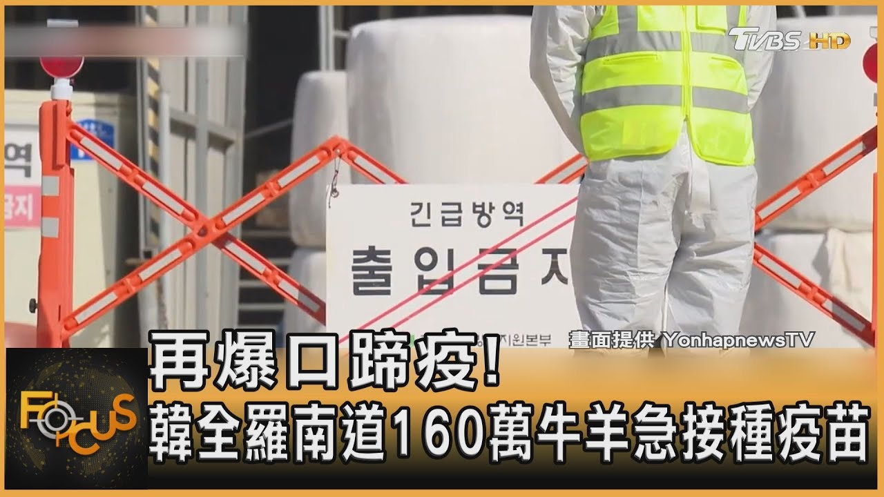 再爆口蹄疫! 韓全羅南道160萬牛羊急接種疫苗｜方念華｜FOCUS全球新聞20250318 @tvbsfocus