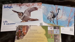Обзор календаря с птицами на 2019 год. Автор фотографий Геннадий Колотин Обзор календаря с птицами на 2019 год. Автор фотографий Геннадий Колотин