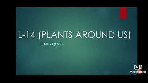 Class-1, Subject-EVS, Video-30, Chapter-44, Part-3 by Mrs Sunidhi