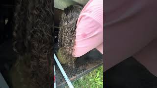 Packing up the camper trailer to go camping #camping #travel #lifestyle
