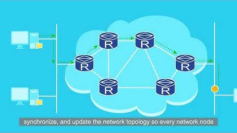 What Does a Large Layer 2 Network Look Like