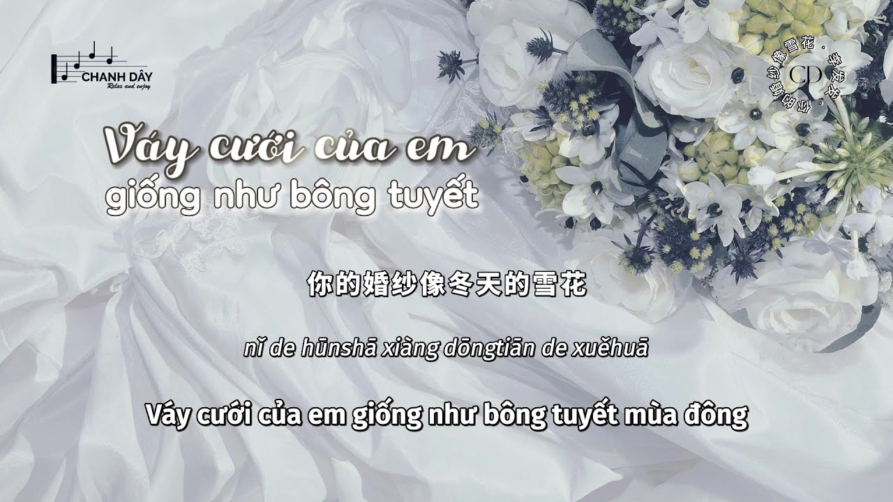 Video YouTube