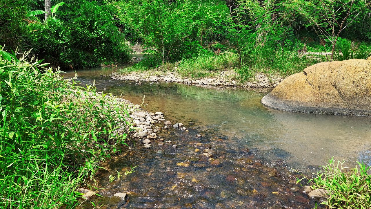 Overcome Insomnia Instantly with babbling brook Nature Sounds, Soothing ...