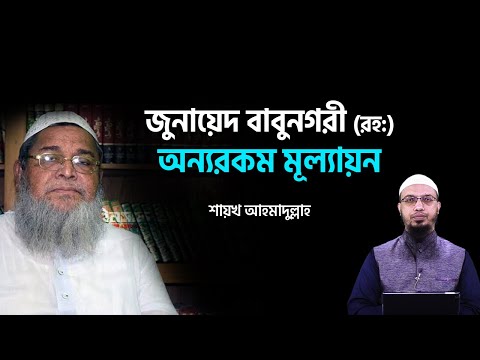 জুনায়েদ বাবুনগরী রহ সম্পর্কে অন্যরকম মূল্যায়ন