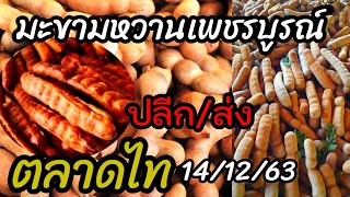 มะขาม​หวาน​เพชรบูรณ์​/ผลไม้​ราคาส่ง​/ตลาด​ไท​/Yutthapong​ chanal​กิน​เที่ยว​เล่น​