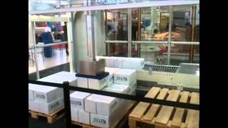 Gantry robot palletizer powered by Vuototecnica Octopus System