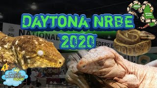 Daytona National Reptile Breeders Expo 2020