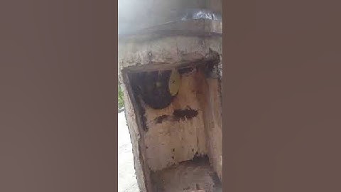 #IIQBH Vertical Log hive Himalayan honey