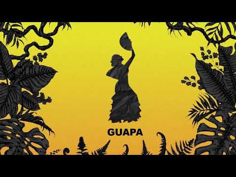 Brain Connexion - Guapa