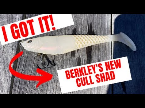 WE FOUND IT!! Berkley Cull Shad Rescue Mission Complete!! 