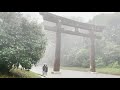 Walking in the Rain in Tokyo: Meiji Jingu Shrine - Rain Sounds, Rain Ambience, White Noise, Thunder