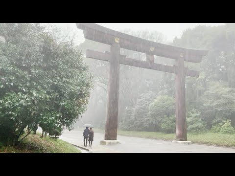 Walking in the Rain in Tokyo: Meiji Jingu Shrine - Rain Sounds, Rain Ambience, White Noise, Thunder