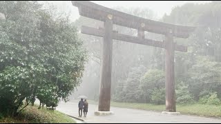 Walking in the Rain in Tokyo: Meiji Jingu Shrine  Rain Sounds, Rain Ambience, White Noise, Thunder