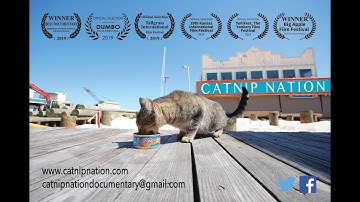 Catnip Nation Official Trailer September 2019