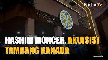 Perusahaan Milik Hashim Incar Akuisisi Tambang di Kanada Senilai Rp 7 Triliun
