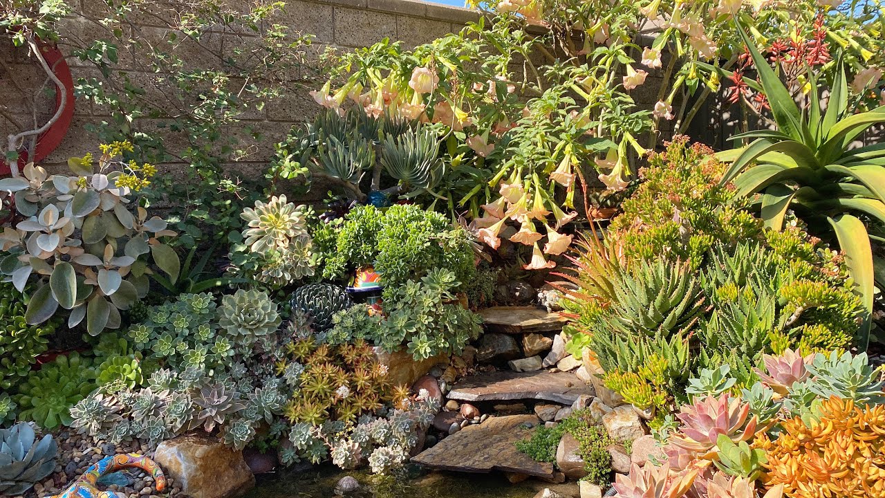 Potting Up A Special Plant In A Special Pot ️ YouTube