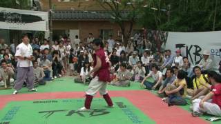 택견배틀 2009 TKB 개인전 3,4위전