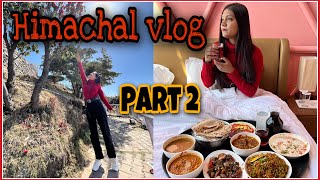 Himachal vlog part 2 | travel vlog | tarika resort chail |snappyfoodydelhi