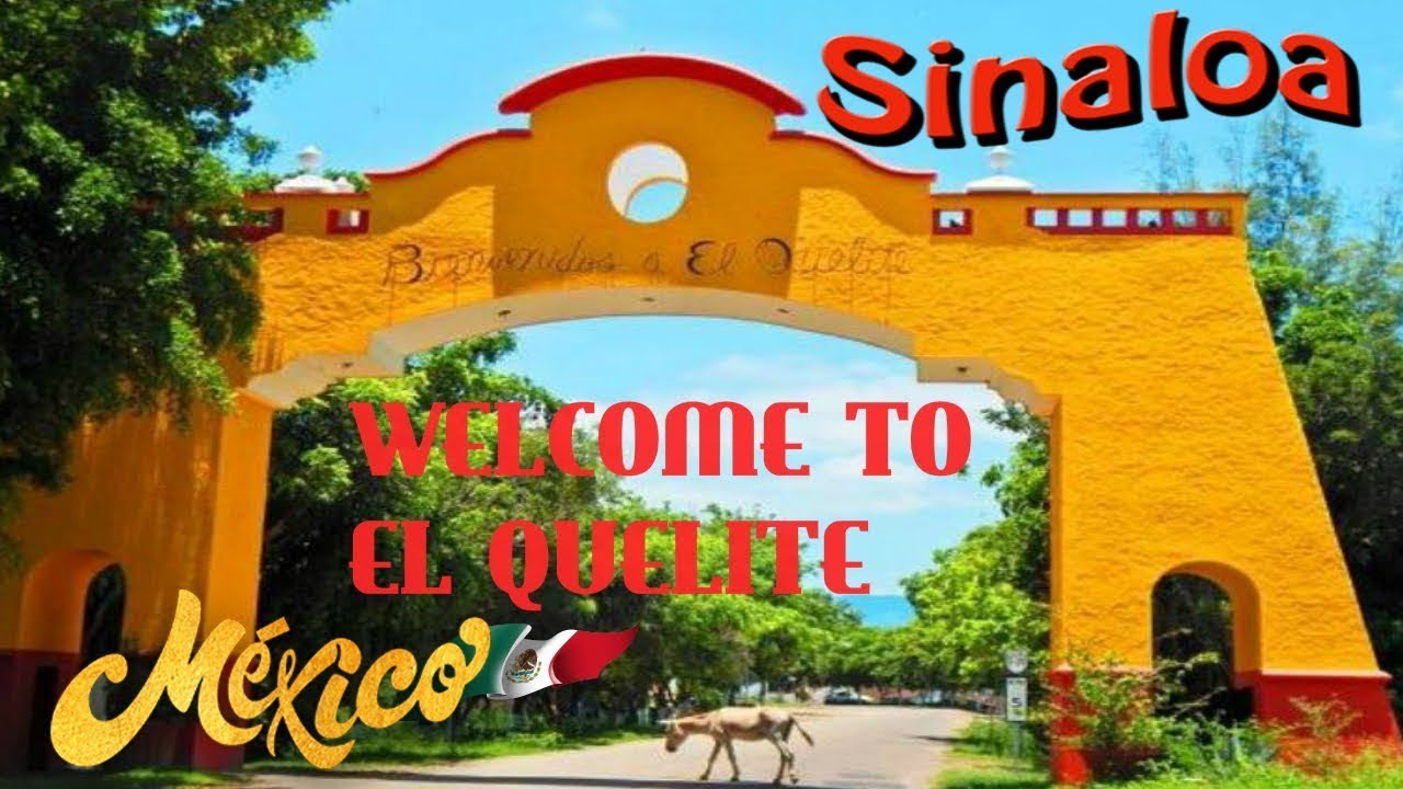 Resultado de imagen para el quelite