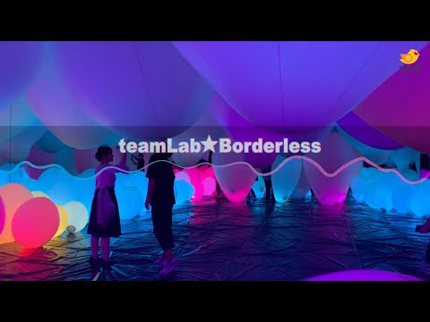 日本東京旅遊攻略 【🛫teamLab Borderless最強燈光投影藝術】