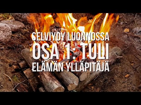 Video: Kuinka Selviytyä Luonnossa