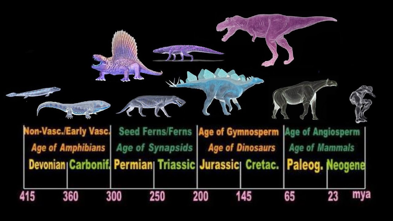 Homo sapiens disappears in a mass extinction - YouTube