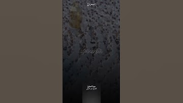 مقتطف من سورة المعارج ( 19 - 25 ) | بدر التركي
