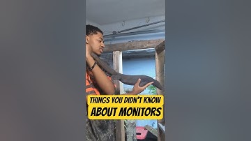 Monitor Lizard Refuses Food 🦎 Discover the Eating Secrets!