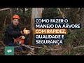 Como fazer o manejo da árvore com rapidez, segurança e qualidade