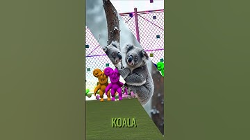 Zoonomaly VS Real Animals Part 4 #zoonomaly  #garrysmod