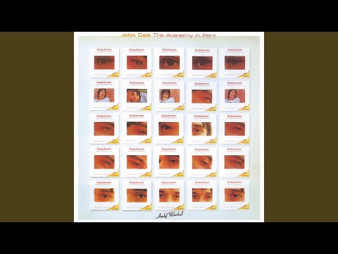 John Cale – The Academy In Peril – Vinyl (LP, Album, Reissue