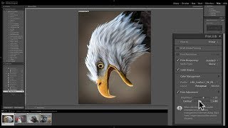 Mastering Lightroom Classic CC - 31: Print Module